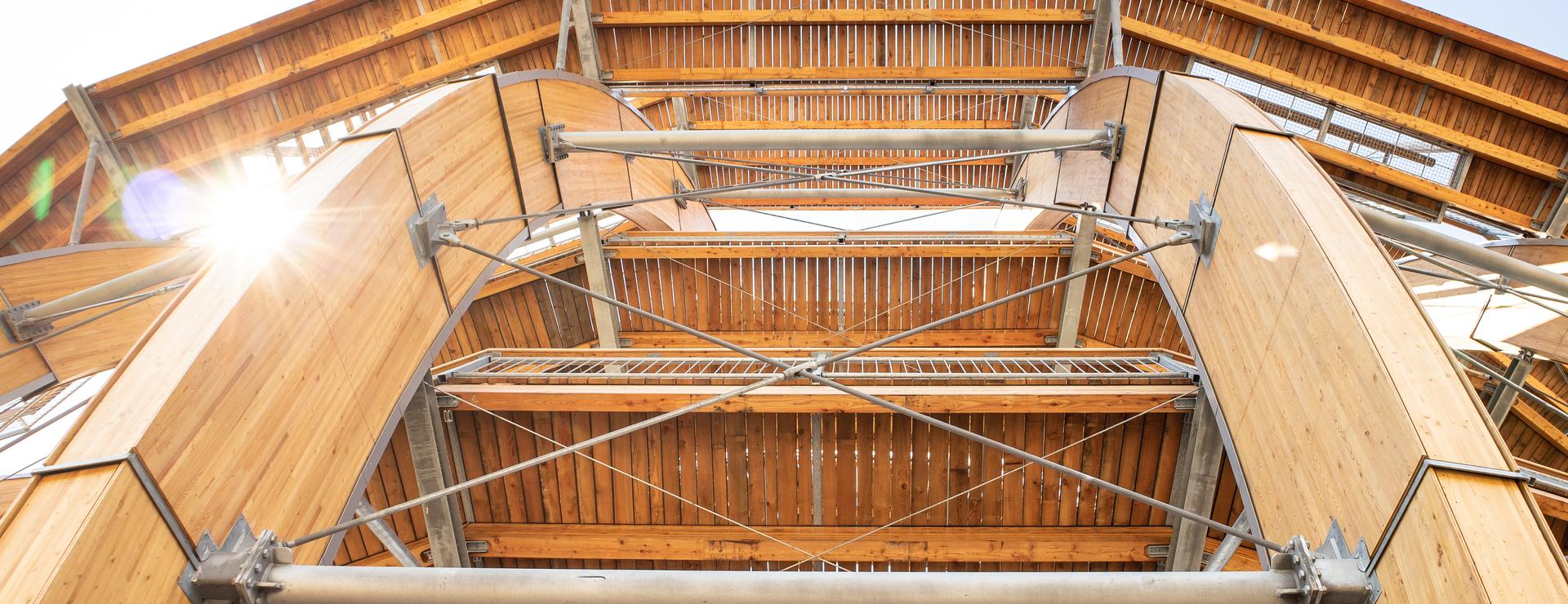 HESS_TIMBER_Steinberg_Kugelturm_1__copy__Corvin_Oelschlaeger | © Corvin Oelschlaeger | HESS TIMBER