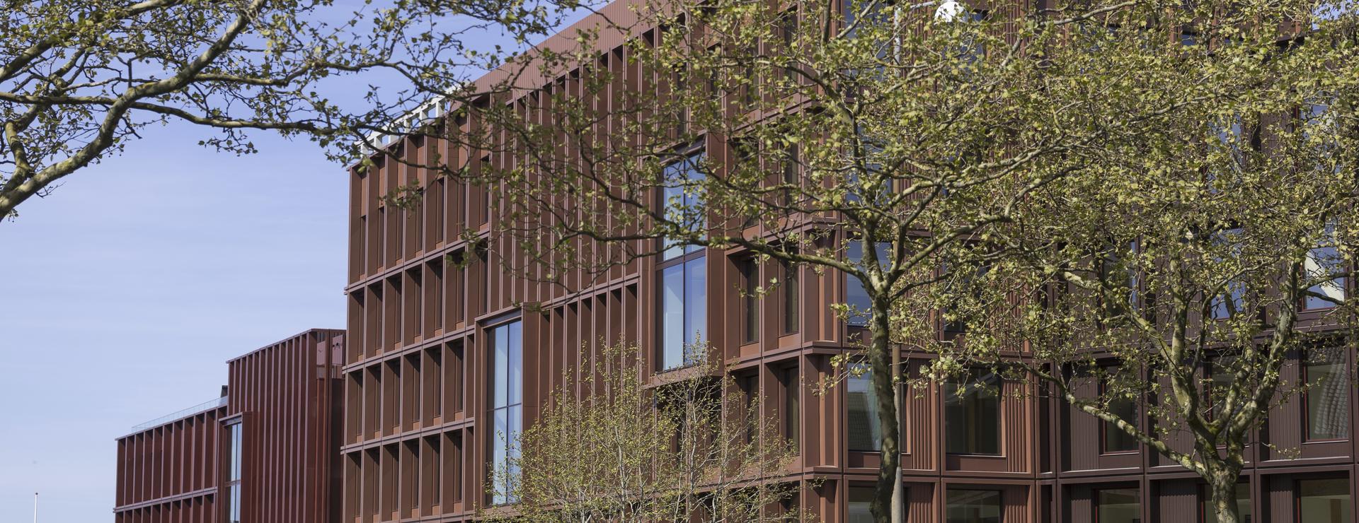 HES_REF_WoodHub_Odense_DK_20250508_005__copy__Jonathan_Grevsen | © Jonathan Grevsen
