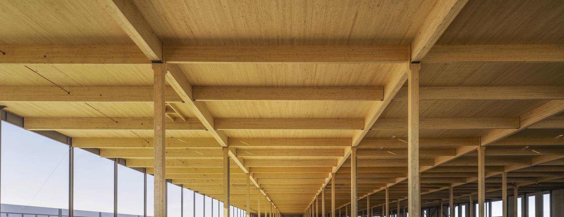 241109-5525_Countryside-029-from_Prologis-April2025 | © HASSLACHER Gruppe | Prologis