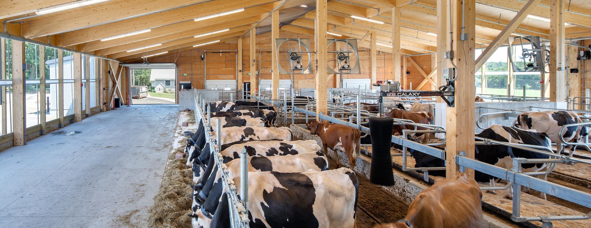 HNT_REF_Bristol_County_Agricultural_High_School_13062022__copy__Ed_Wonsek_001 | © HASSLACHER Gruppe | Ed Wonsek