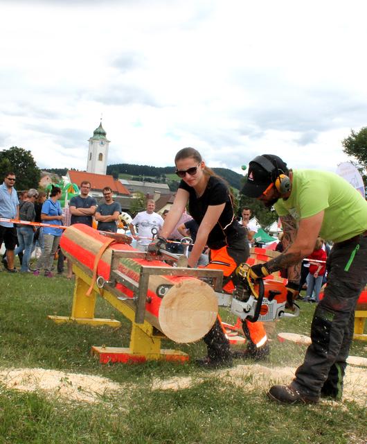 Geradeschneiden | © Forstliche Ausbildungsstätte Ossiach