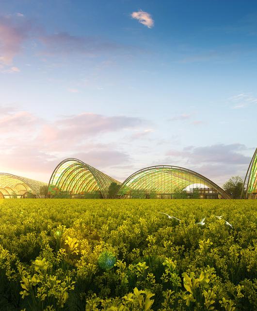 02_2Tianfu_Agricultural_Expo_cStructureCraft | © Die Tragwerke der Tianfu Agricultural Expo weisen eine freie Spannweite von bis zu 115 m und eine Höhe von bis zu 45 m auf. © StructureCraft