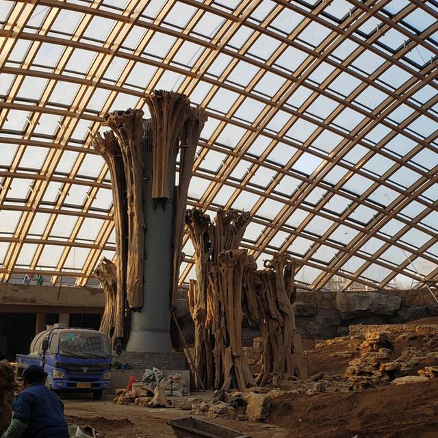 1_taiyuan_domes_bau1__c_StructurCraft | © StructureCraft