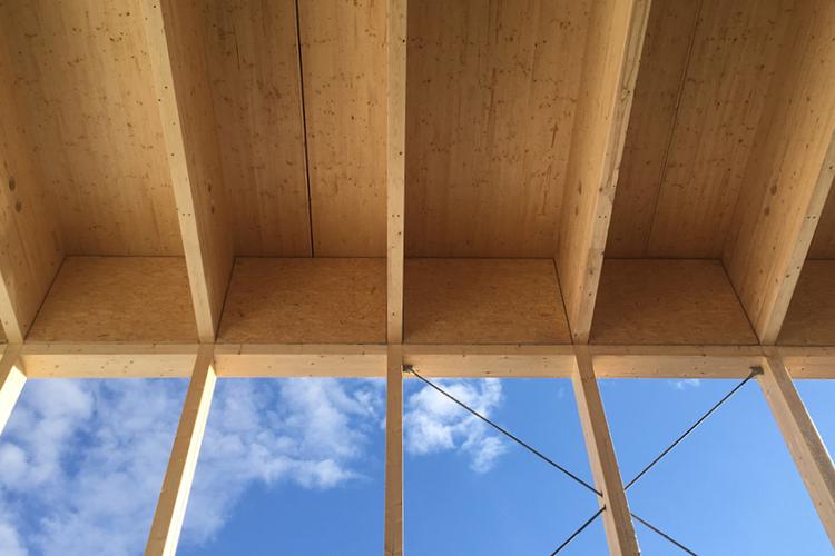 HNT_NL_FHB_202109_204_HASSLACHER_rib_panel___CLTdesigner_HEADER__copy__Rensteph_Thompson_teaser